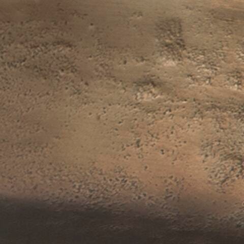 Wallmen Tray - Image 4